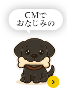 CMでおなじみの